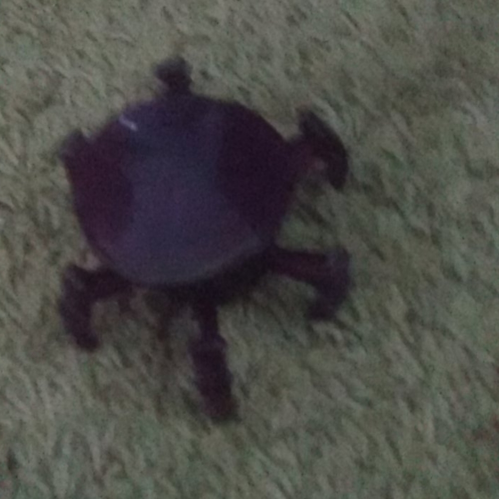 Toy spider